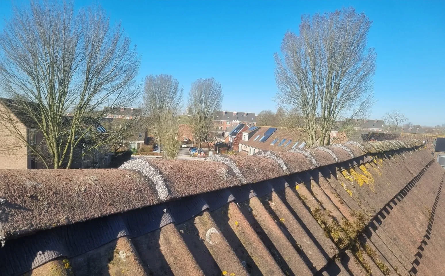 Plat dak met vakwerk in uitvoering